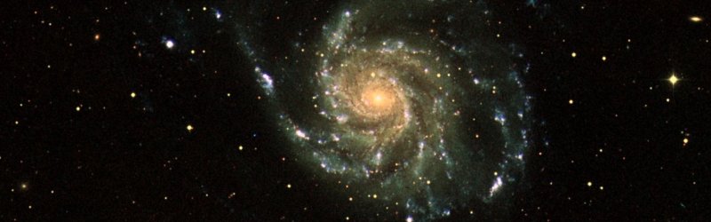 M101