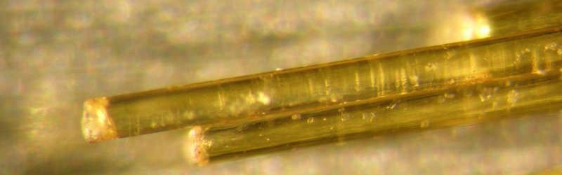 Fibers